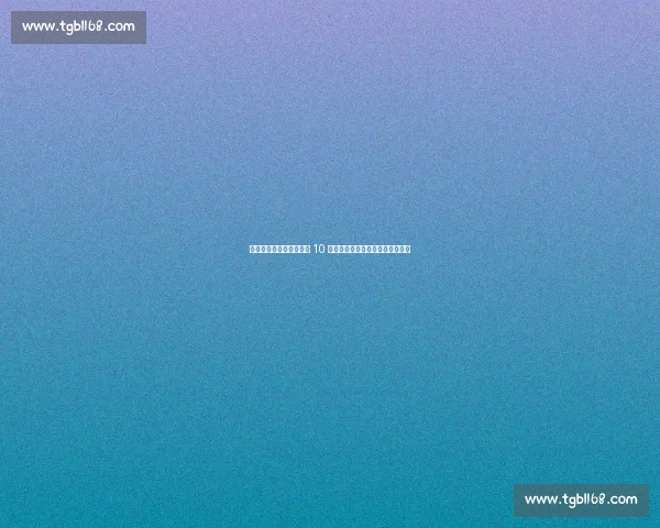 莱奥力挺普利西奇：米兰 10 号位的胜负手，忠诚不如实力耀眼