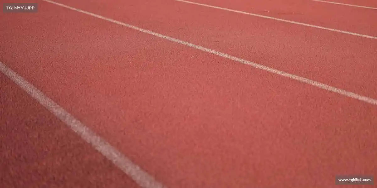 我们的核心竞争力